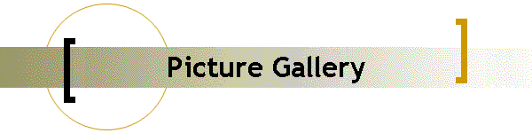 Picture Gallery