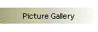 Picture Gallery