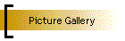 Picture Gallery